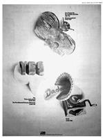 Advertisements